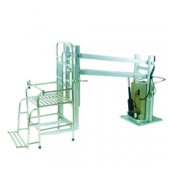 Hydrotherapy Lifting Device