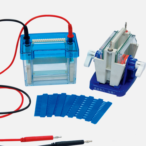 Electrophoresis Cell Tank,Electrophoresis Power and Tank